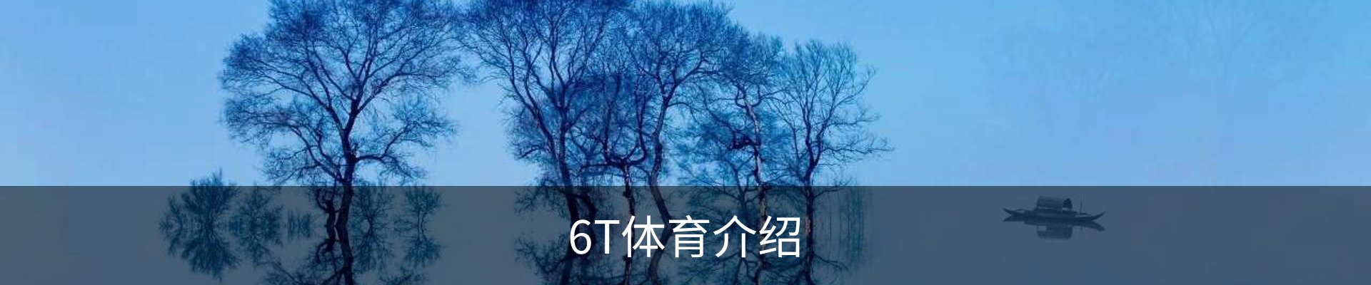 6T体育介绍